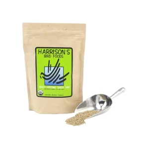 Harrison's Adult Lifetime Super Fine