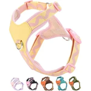 HausPets Arnés rosa XS para perros pequeños, antitirones, 2 clips correa
