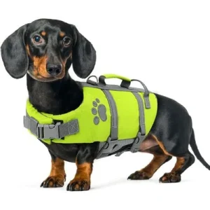 HausPets Chaleco salvavidas reflectante verde para perros, talla M Artículo 1