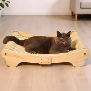 HausPets Rascador sisal gatos, cama curva 160°, alfombrilla 603714 cm 60 cm