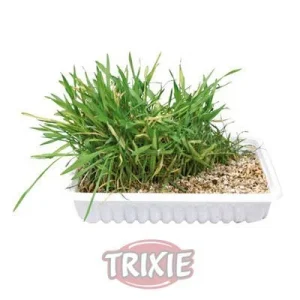 Hierba para Gatos con Bandeja 100g
