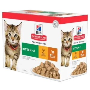 Hill's Kitten para gatos