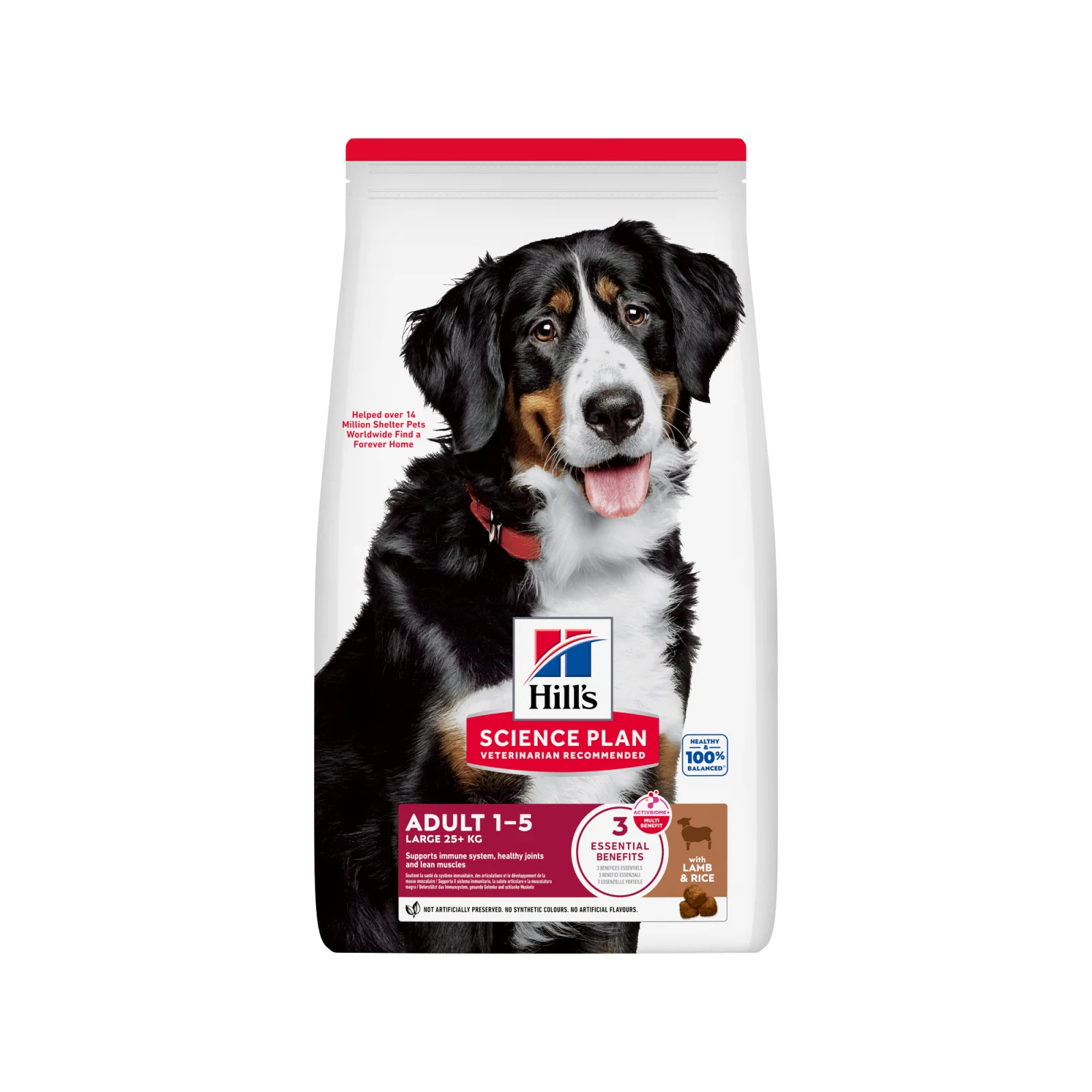 Hill's Science Plan Large Breed - Adult - Cordero y Arroz