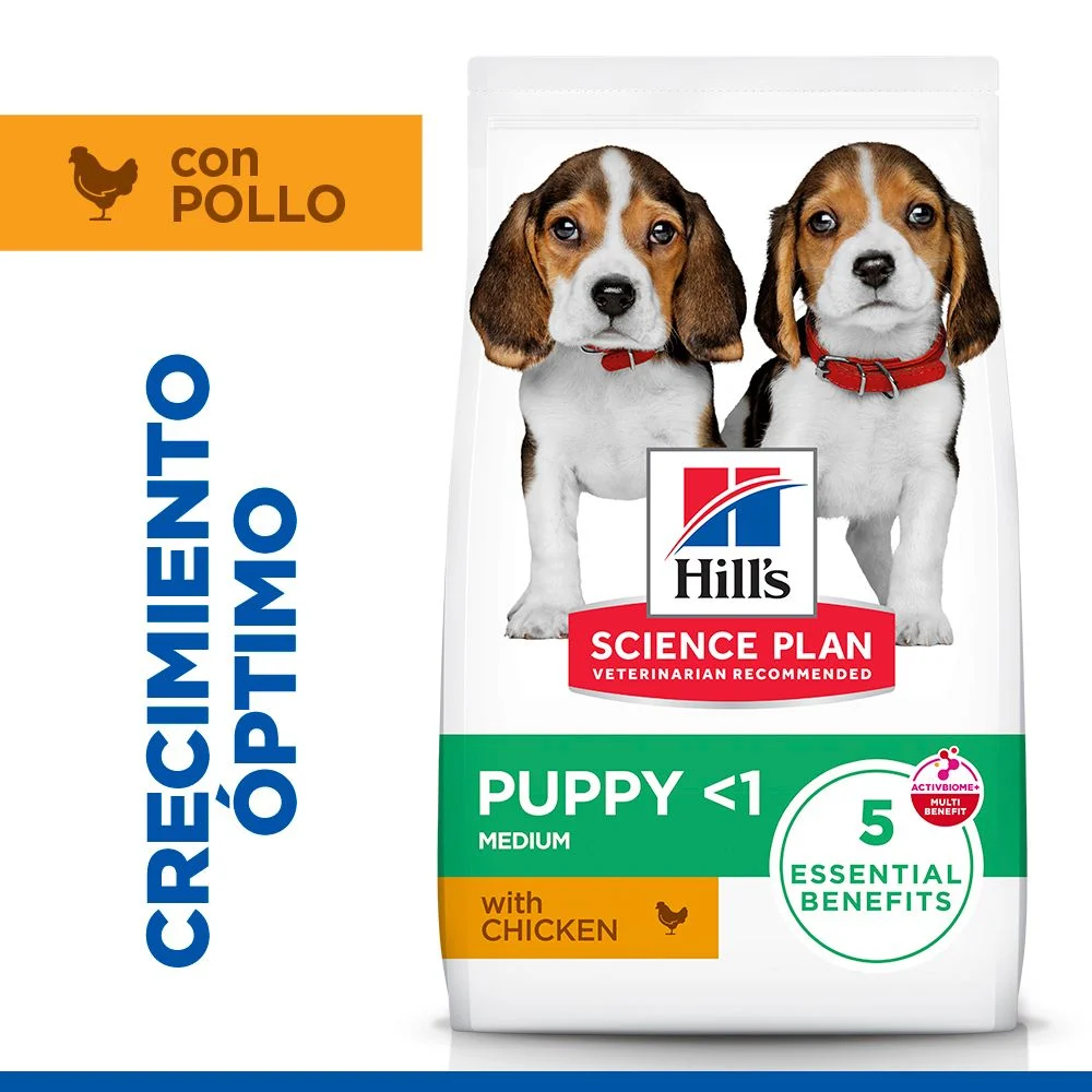 Hill's Science Plan - Puppy - Medium - Pollo - Image 2