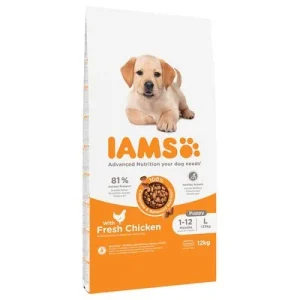 IAMS Advanced Nutrition Puppy Large con pollo 12 kg
