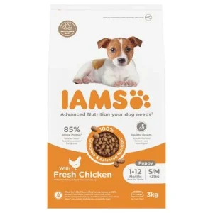 IAMS Advanced Nutrition Puppy Small / Medium Breed con pollo 3 kg