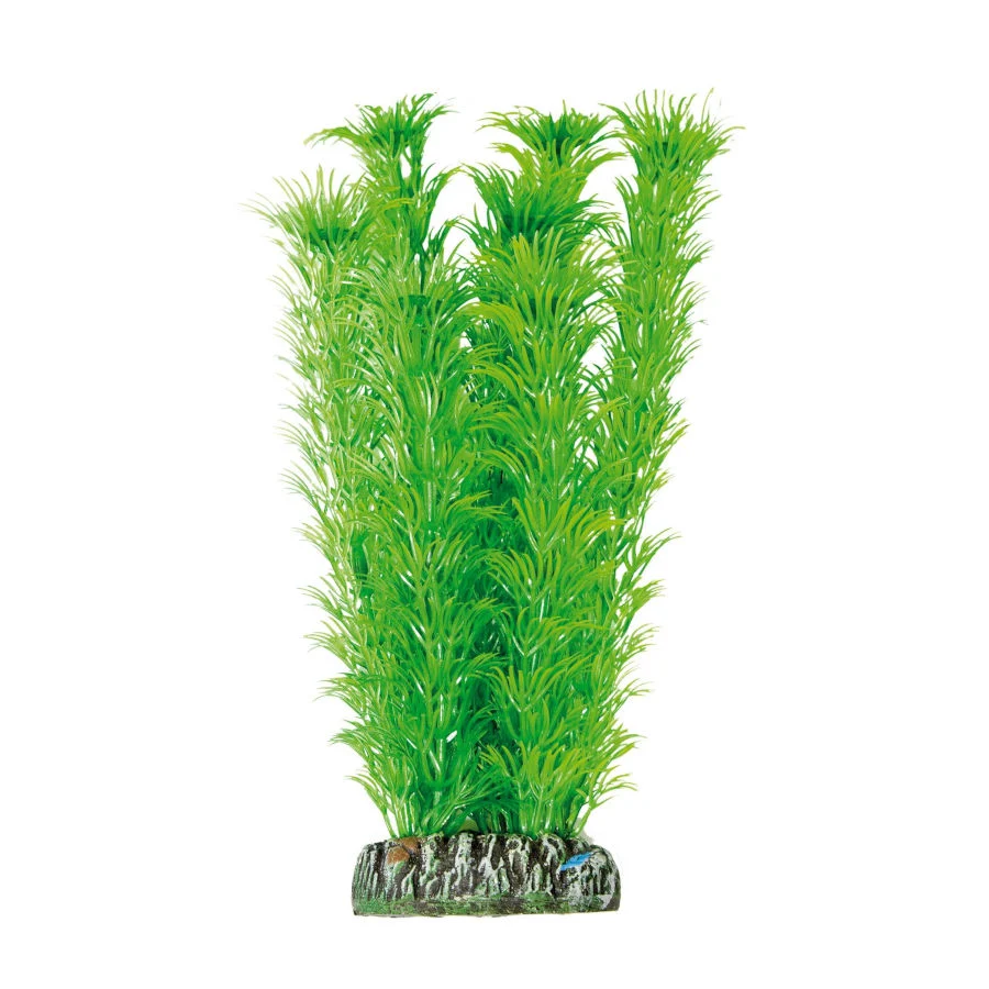 ICA Aquatic Plants Ambulia planta artificial para acuarios