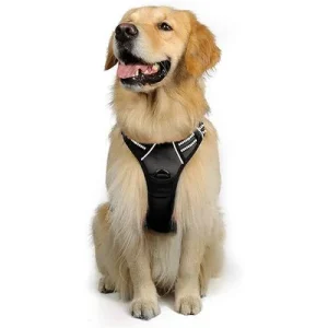 IntiMeg Arnés antitirones para perros