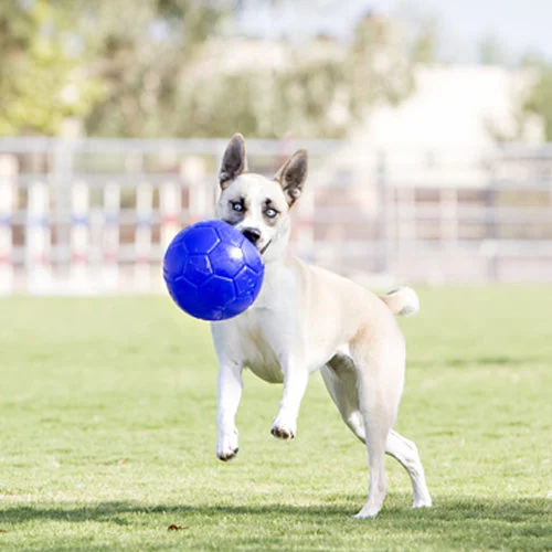 Jolly Soccer Ball - Image 2