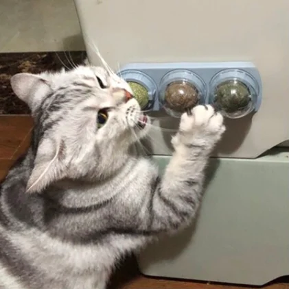 Juguete Catnip Licking - Image 2