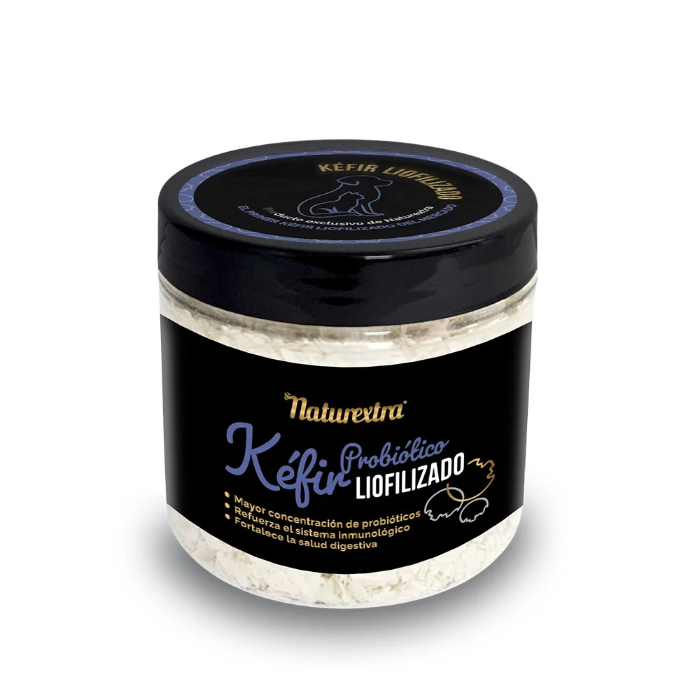 Kéfir Liofilizado en polvo