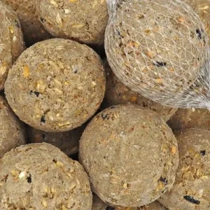 KLASEBO Bolas de grasa con red para aves silvestres 100 x aprox. 90 g