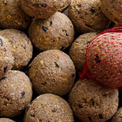 KLASEBO Bolas de grasa Premium con insectos y red 200 x aprox. 90 g