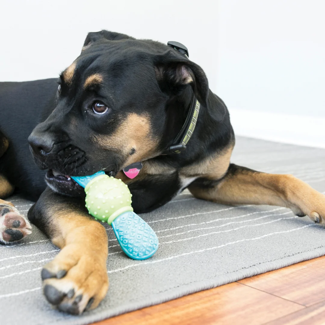 KONG CORESTRENGTH BOW TIE