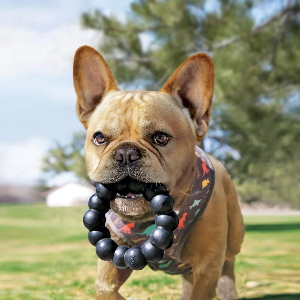 KONG EXTREME RING XL - Image 2