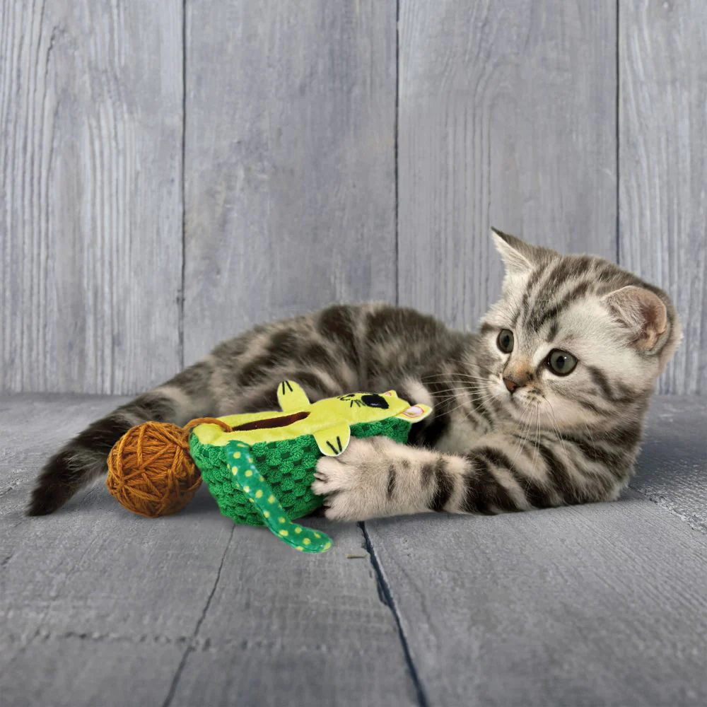 KONG Gato - Wrangler AvoCATo - Image 2
