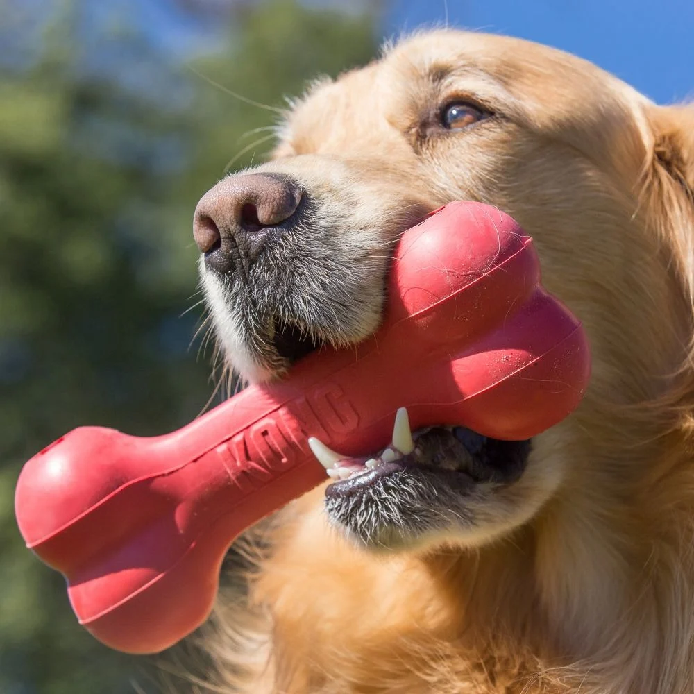 KONG GOODIE BONE CLASSIC - Image 2