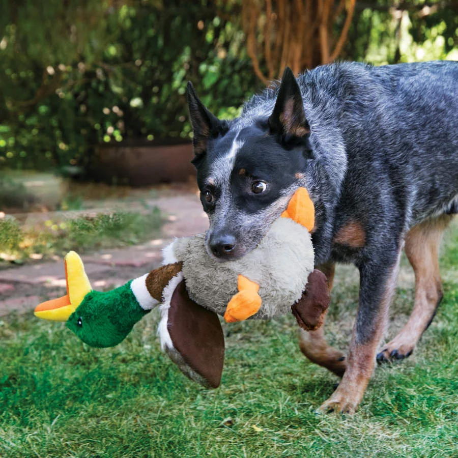 Kong Shakers Honkers Pato de peluche para perros - Image 2