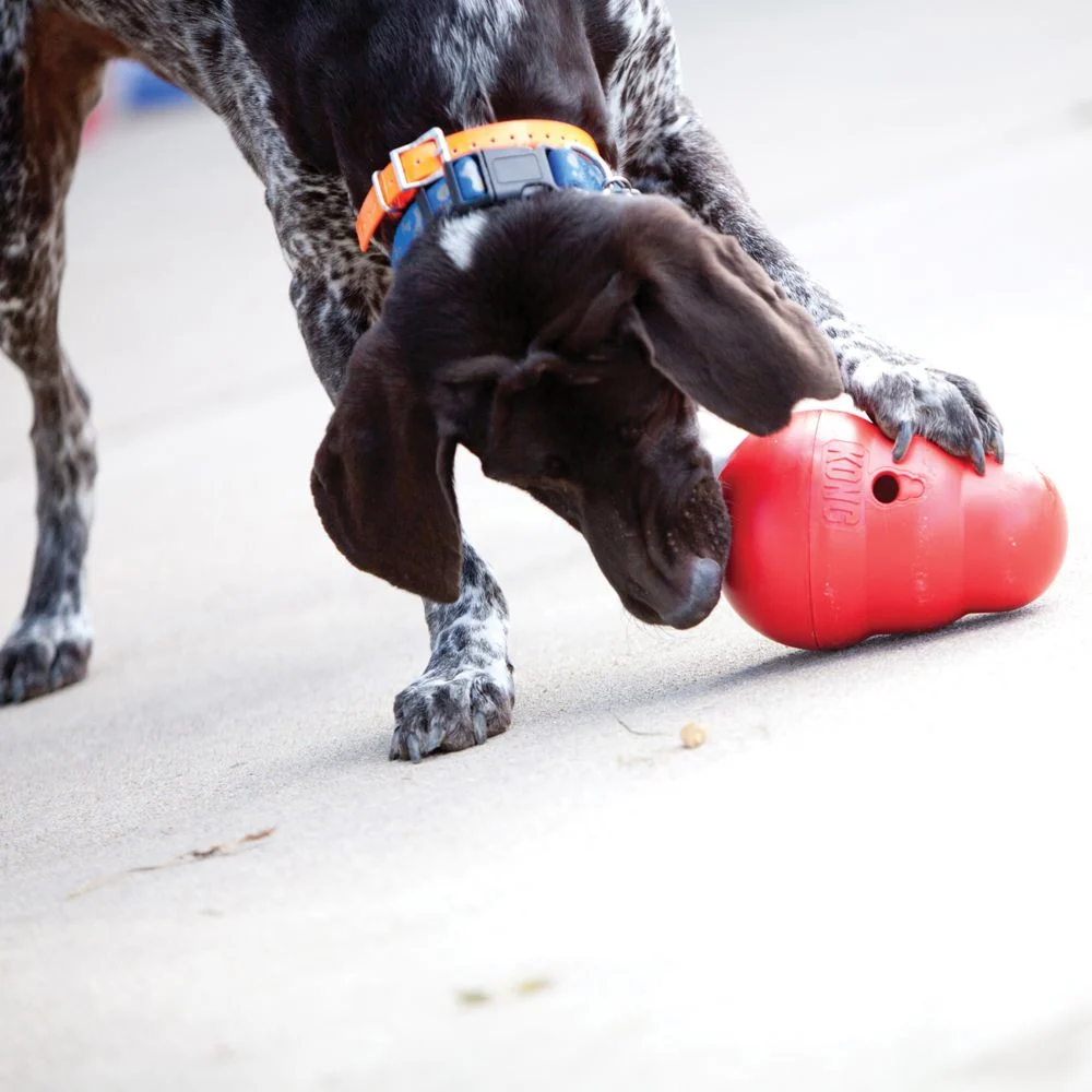 KONG WOBBLER - Image 2