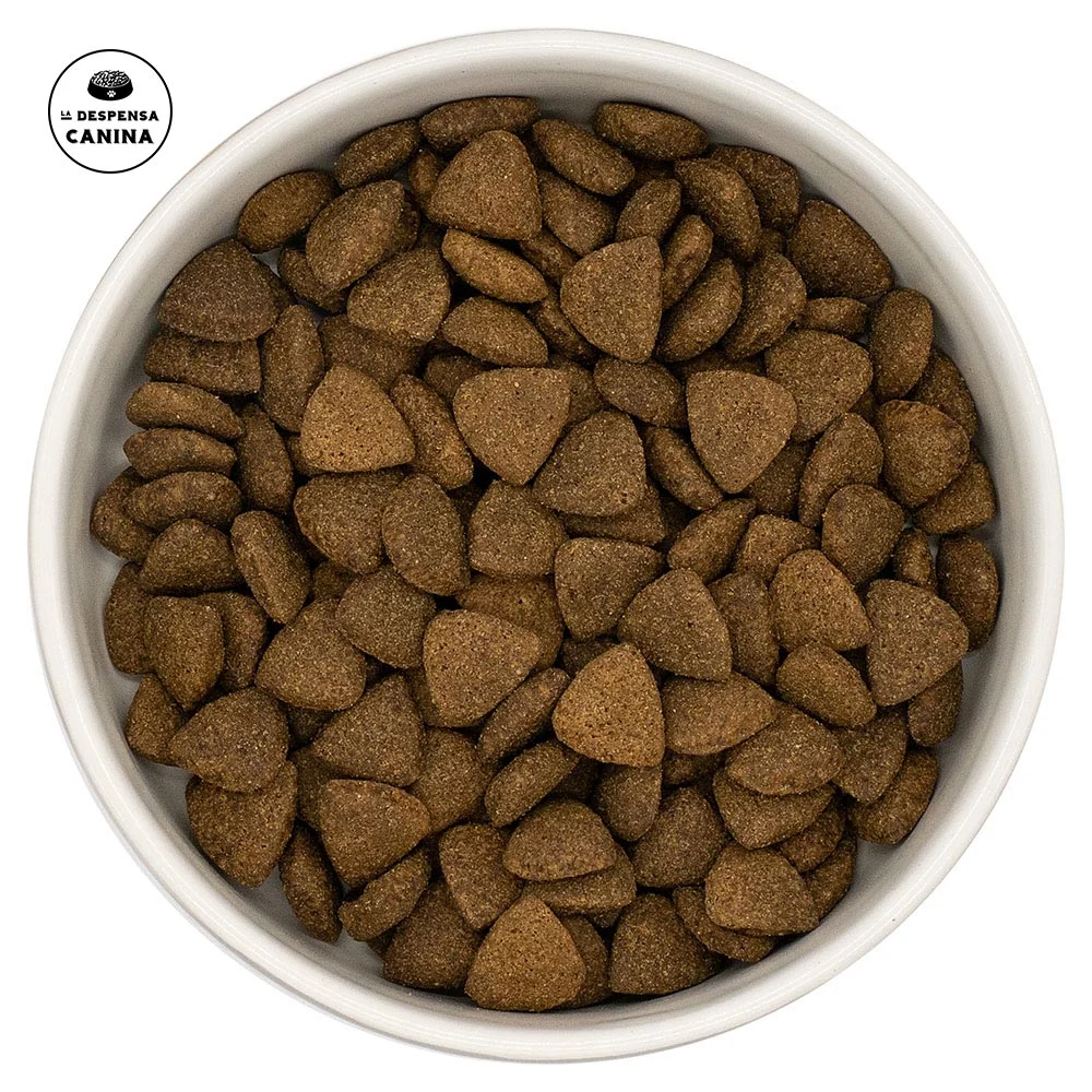 Ladecan Supra Angus Beef con Zanahoria - Image 2