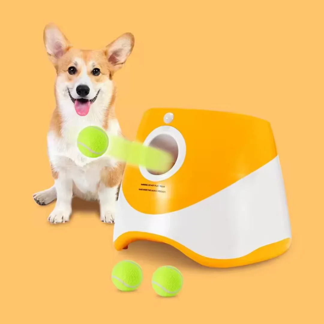 LANZA PELOTA INTERACTIVO