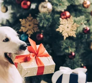 ¡Los mejores regalos de Navidad para tu mascota!