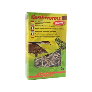 Lucky Reptile Earthworms