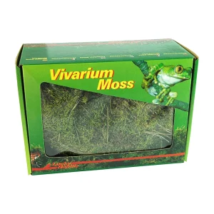 Lucky Reptile Vivarium Moss