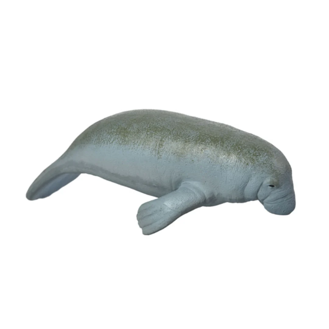 MANATI VINILO STRONG CANCAT