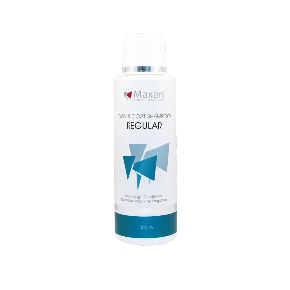 Maxani Champú Regular - Image 2