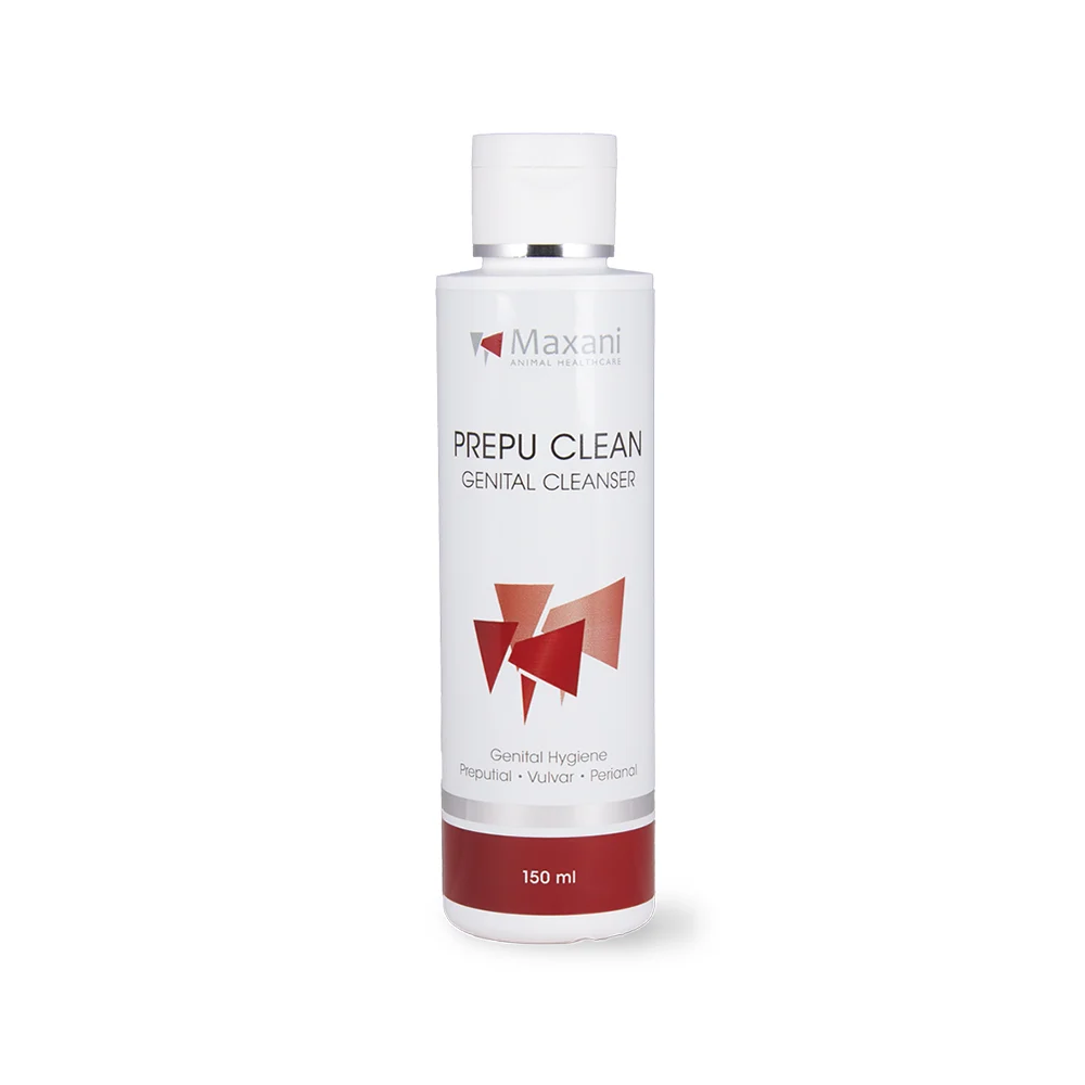 Maxani Prepu Clean - Image 2