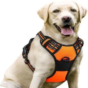 MCBOSON Arnés reflectante antitirones para perros Naranja-M