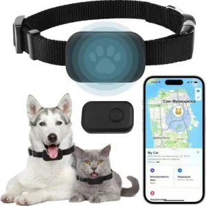 MCBOSON Collar para gatos con GPS en tiempo real, al agua IP67 suscripción 1 artículo
