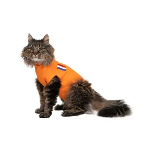Medical Pet Shirt Gato Naranja