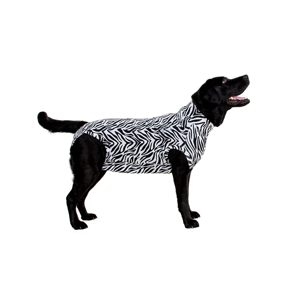 Medical Pet Shirt Perro Zebra
