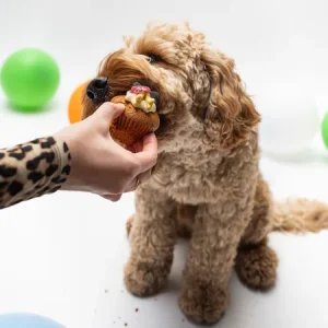 ¡Medpets está de celebración!