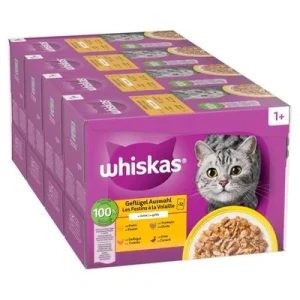Megapack Whiskas 1+ años 48 x 85 g en bolsitas Selección de aves en gelatina