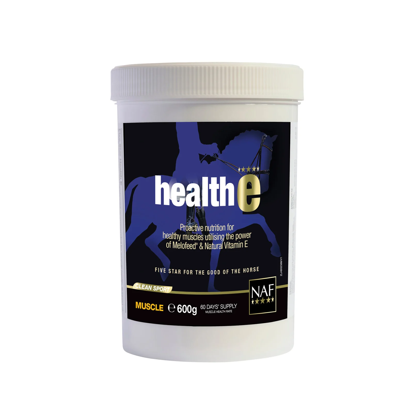 NAF HealthE - Image 2