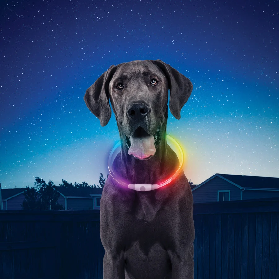 Nite Ize Nite Howl Disc - Image 2