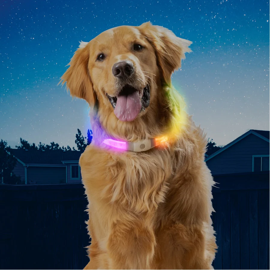 Nite Ize NiteHowl Max Collar de Seguridad LED para perros - Image 2