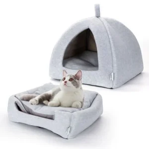 Nobleza Gato Cueva 1 Piece