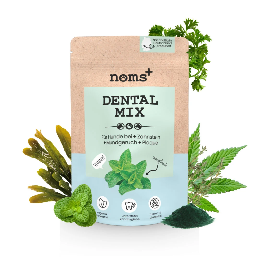 Noms+ Dental Mix para perros 150 g