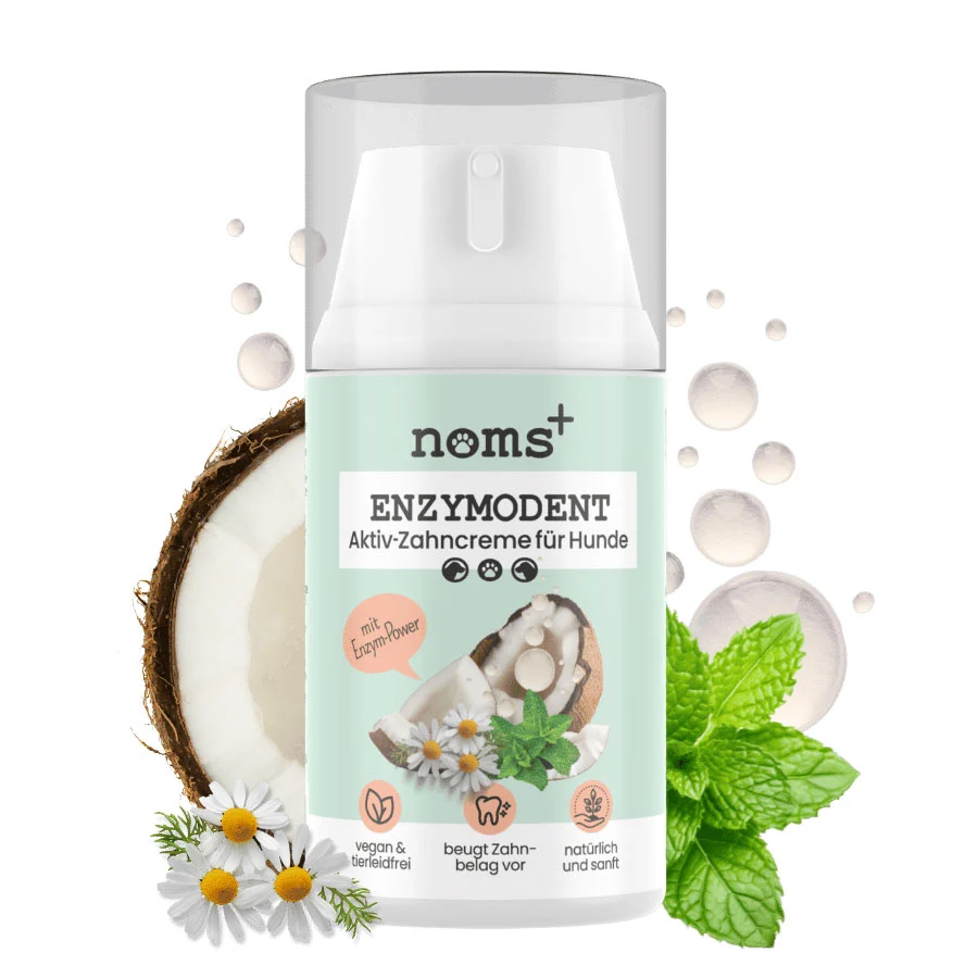 Noms+ Enzymodent dentífrico enzimático para perros 75 g