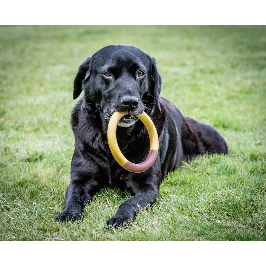 Nylabone Extreme Chew Ring Mordedor Redondo Sabor a Hamburguesa para perros - Image 2