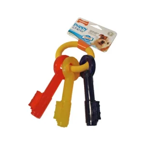 Nylabone Teething Puppy Keys