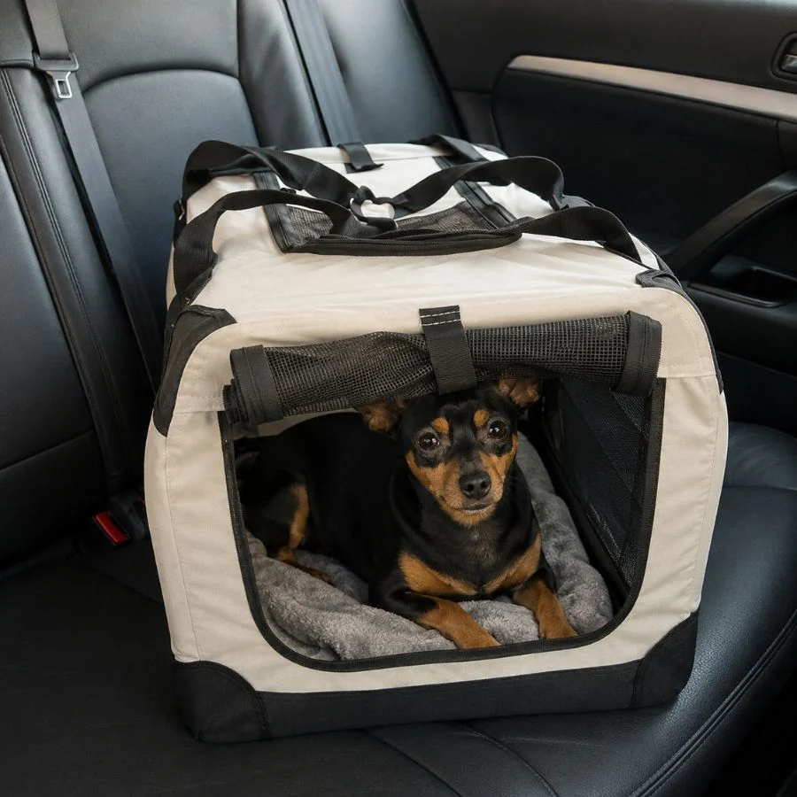 Outech Bolso Transportín Portátil para perros