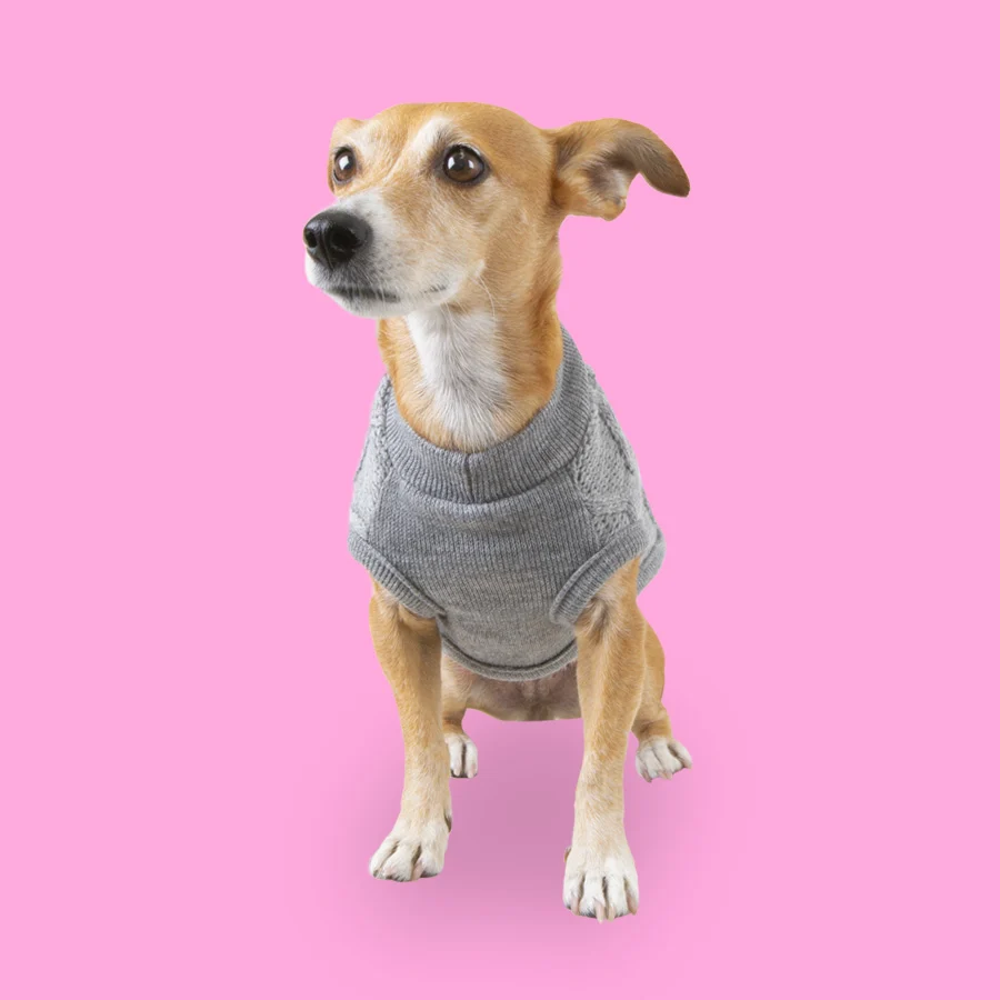 Outech Rombos Jersey de Punto Gris para perros - Image 2