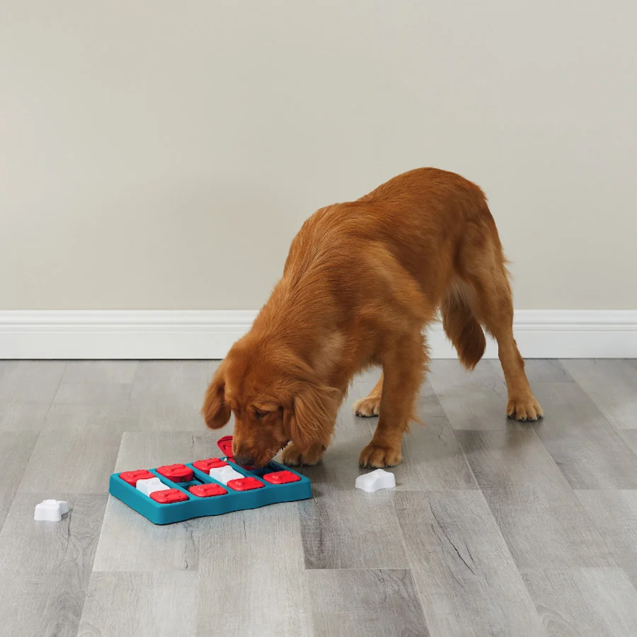 Outward Hound Brick Rompecabezas para perros - Image 2