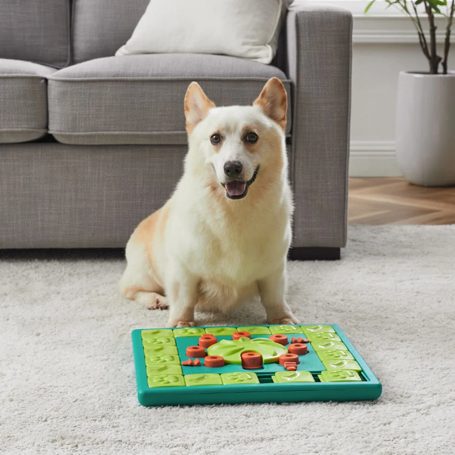 Outward Hound Multi Puzzle de Inteligencia para perros - Image 2