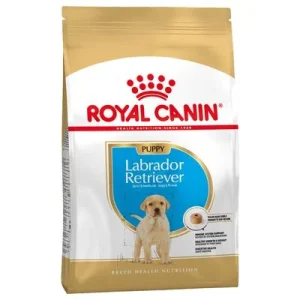 Pack Ahorro: Royal Canin Breed Puppy / Junior Labrador Retriever Puppy - 2 x 12 kg
